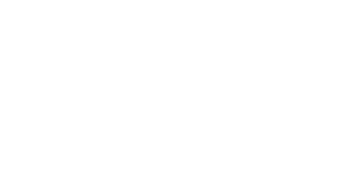 Boehringer Ingelheim